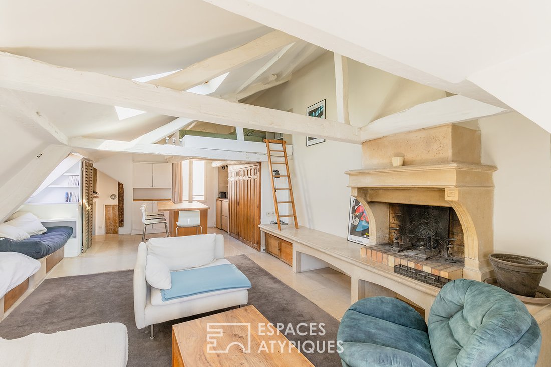 Apartment in Monnaie, Paris 6e Arrondissement, Paris 1 - 18972383