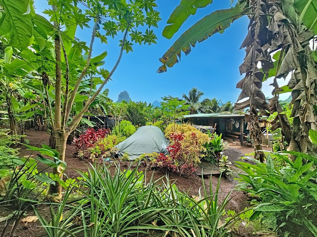 Farm Ranch in Moorea-Maiao, Windward Islands, French Polynesia 4 - 16942031