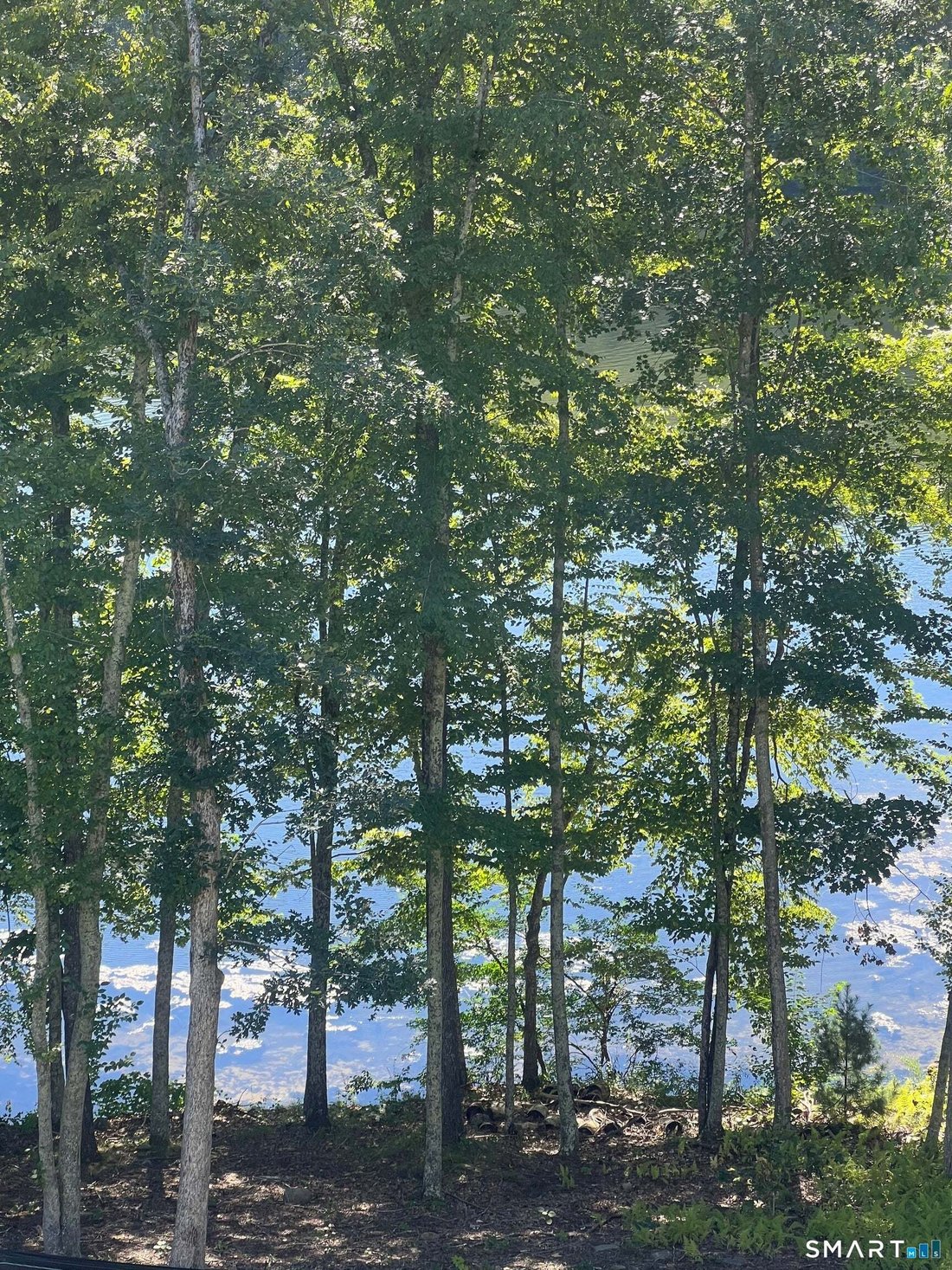 House in Southbury, Connecticut, United States 4 - 18968583