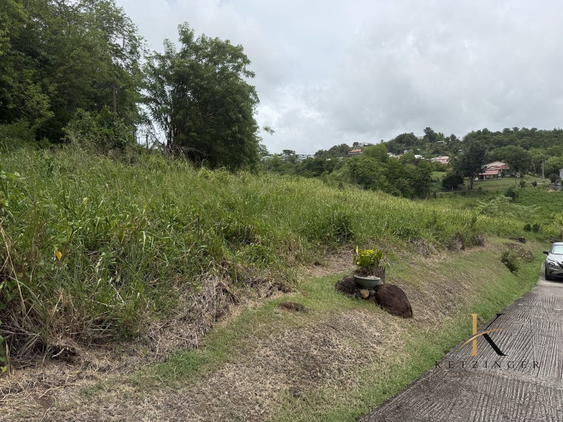 Land in Rivière-Salée, Le Marin, Martinique 2 - 18973030