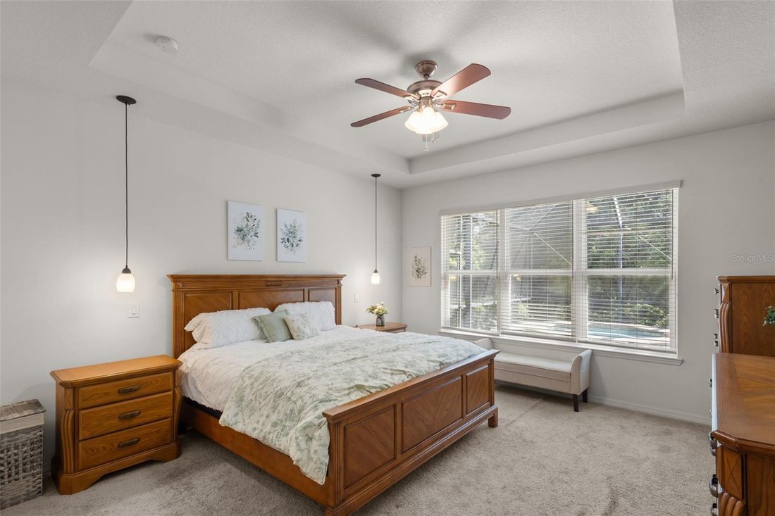 House in Wesley Chapel, Florida, United States 5 - 18964903