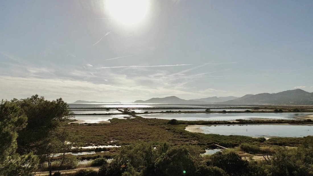 Land in Hyeres, Provence-Alpes-Côte d'Azur, France 2 - 16296578