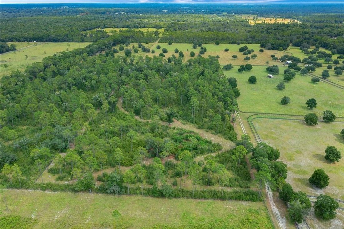 Land in Ocala, Florida, United States 5 - 18972695