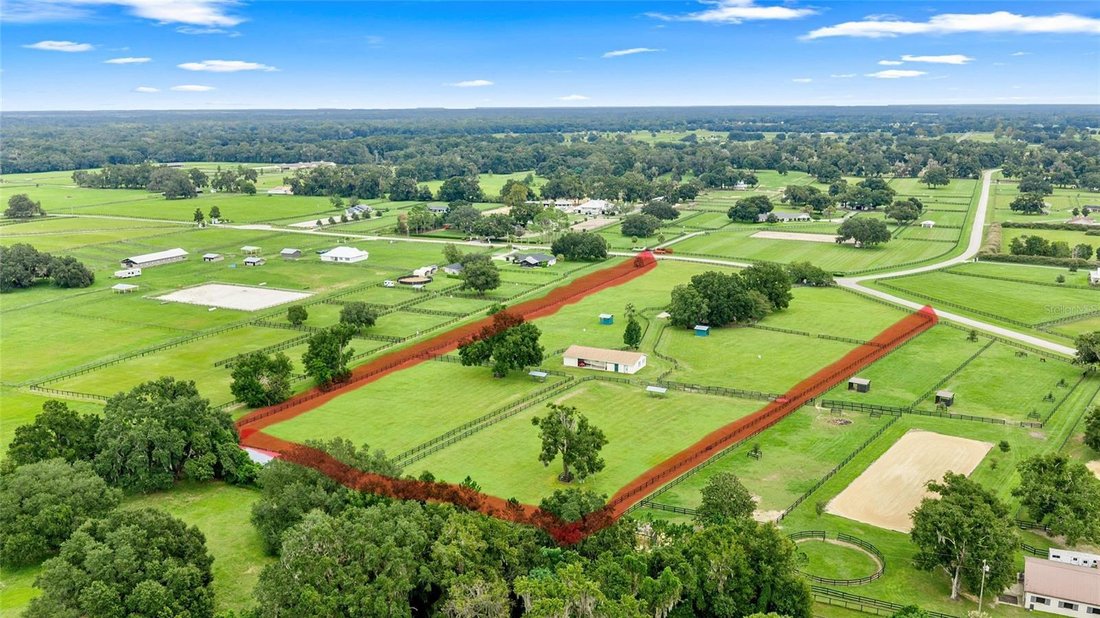 Farm Ranch in Ocala, Florida, United States 4 - 18980383