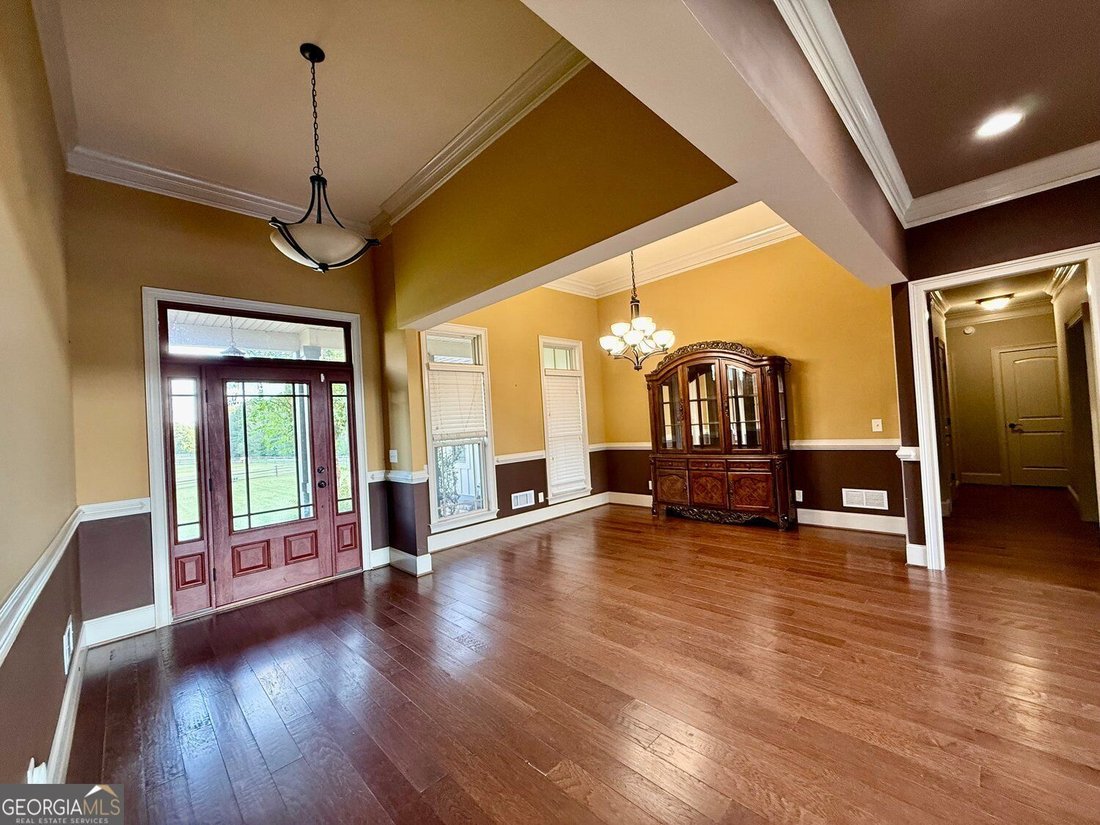 Williamson, Georgia, United States 3 - 18967882