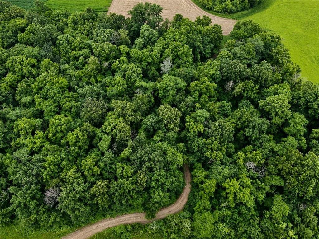 Land in Mattoon, Illinois, United States 4 - 18981028