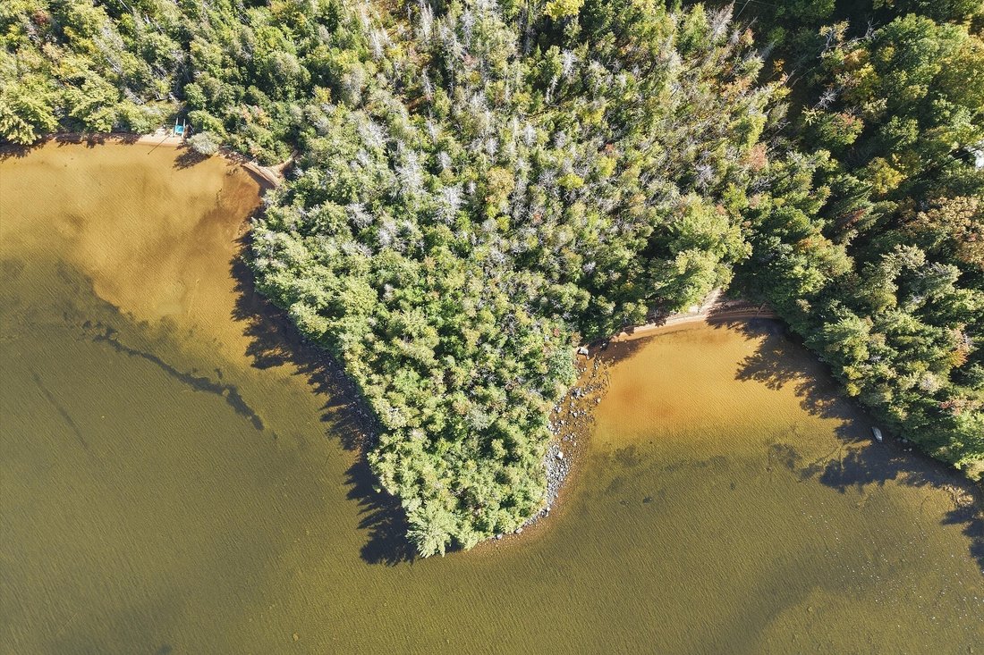 Lake of Bays, Ontario, Canada 4 - 18974432