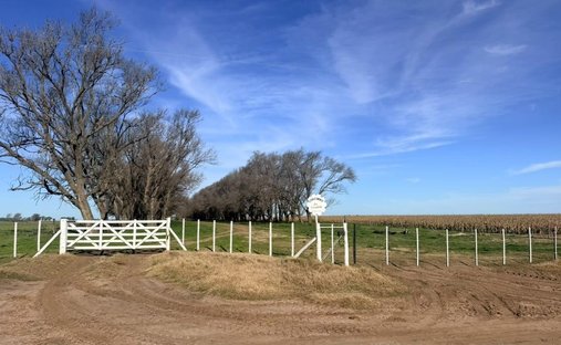 Land in Carlos Salas, Buenos Aires Province, Argentina 1