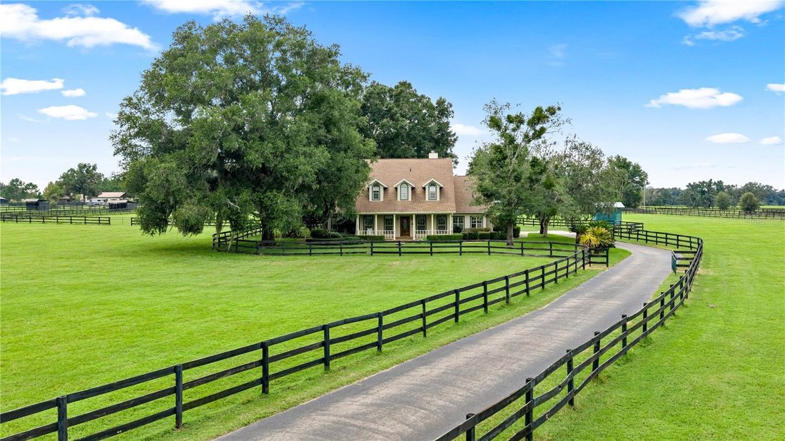 Farm Ranch in Ocala, Florida, United States 5 - 18980383