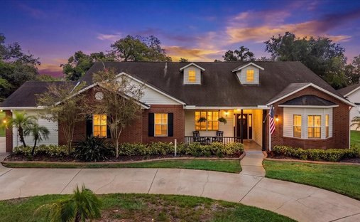 House in Riverview, Florida, United States 1