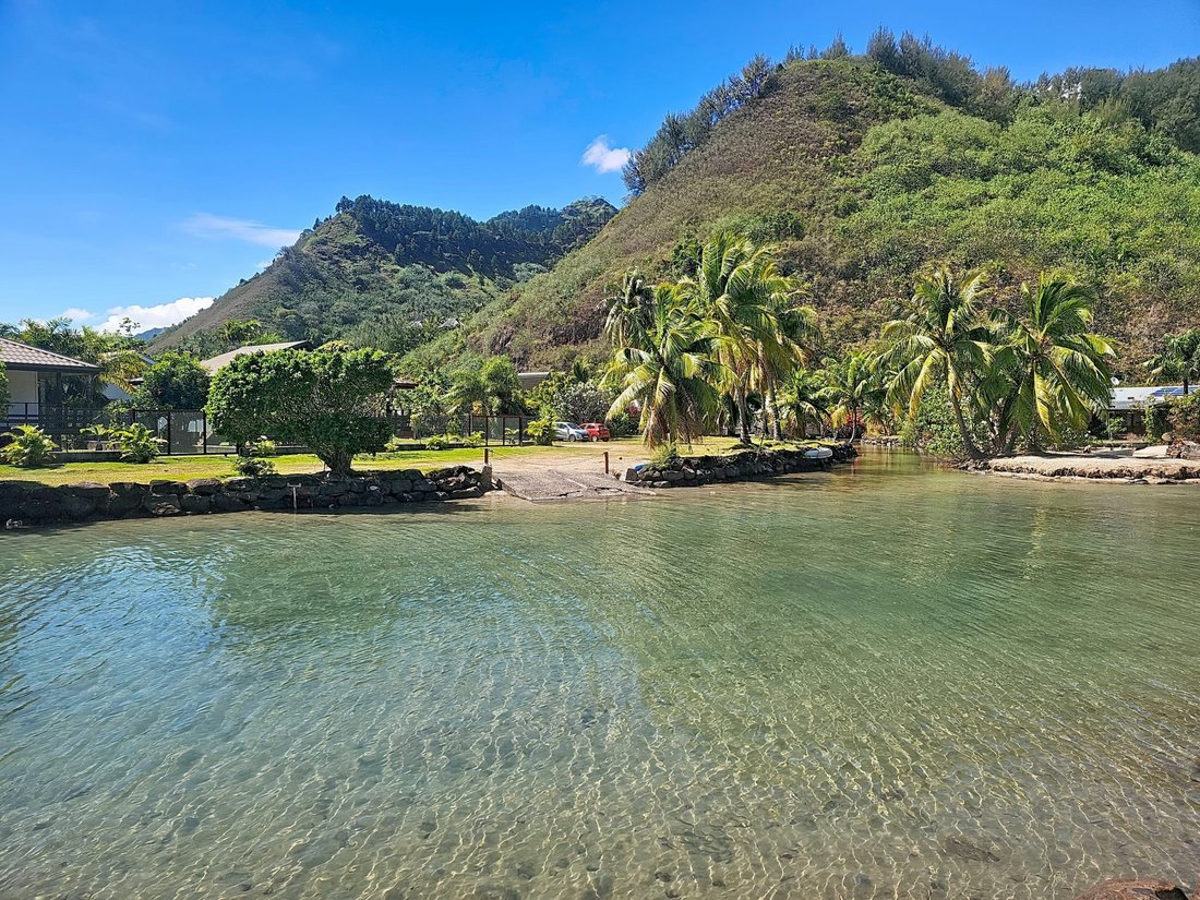 Haus in Moorea-Maiao, Inseln über dem Winde, Französisch-Polynesien 1 - 18729309