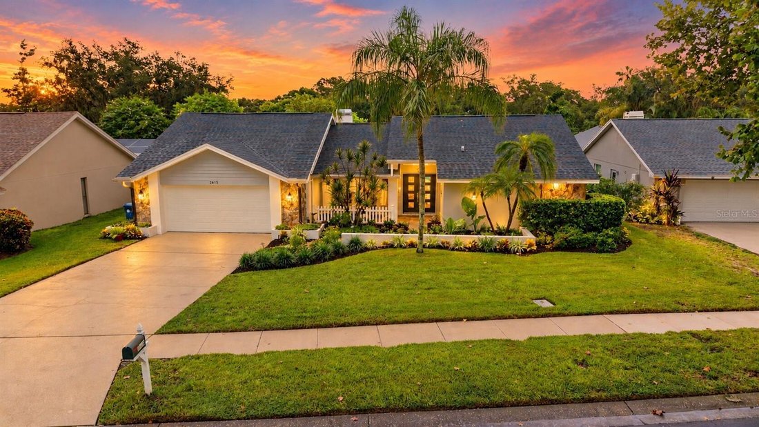 House in Palm Harbor, Florida, United States 1 - 18964941