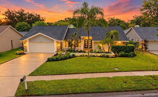House in Palm Harbor, Florida, United States 1