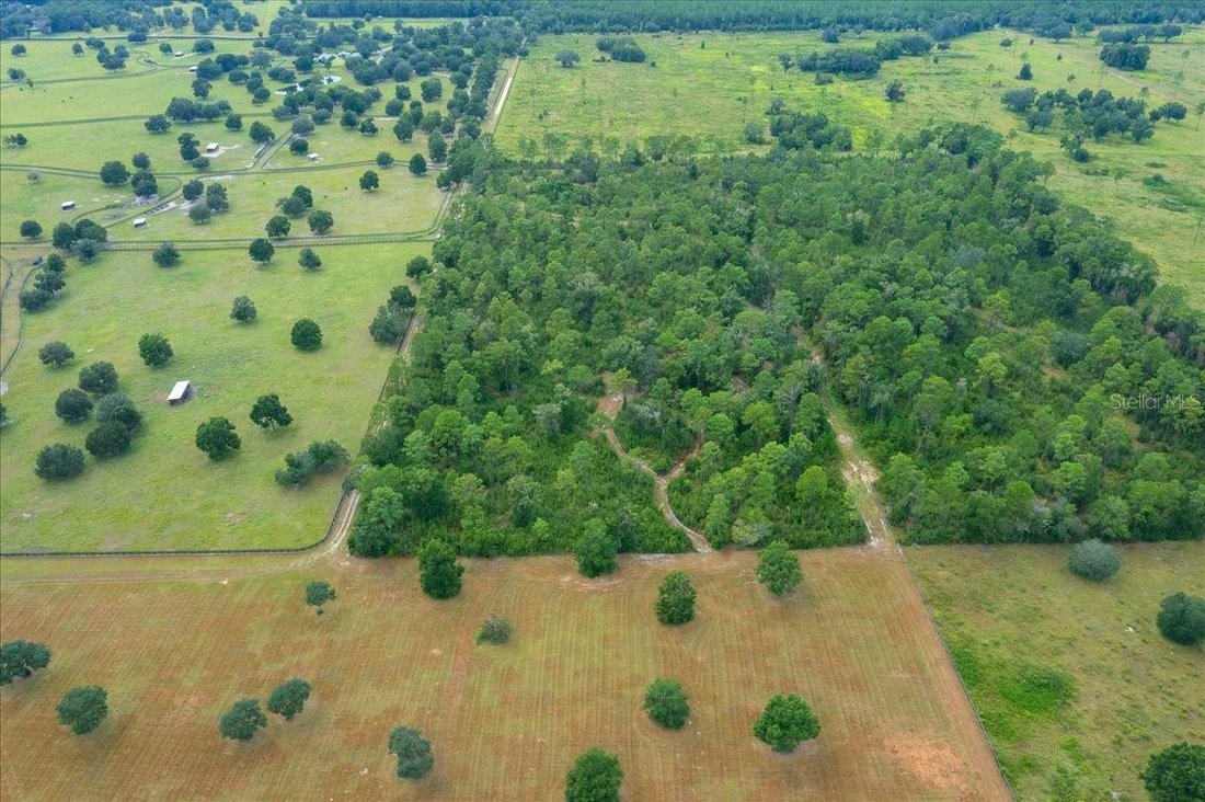 Land in Ocala, Florida, United States 3 - 18972695