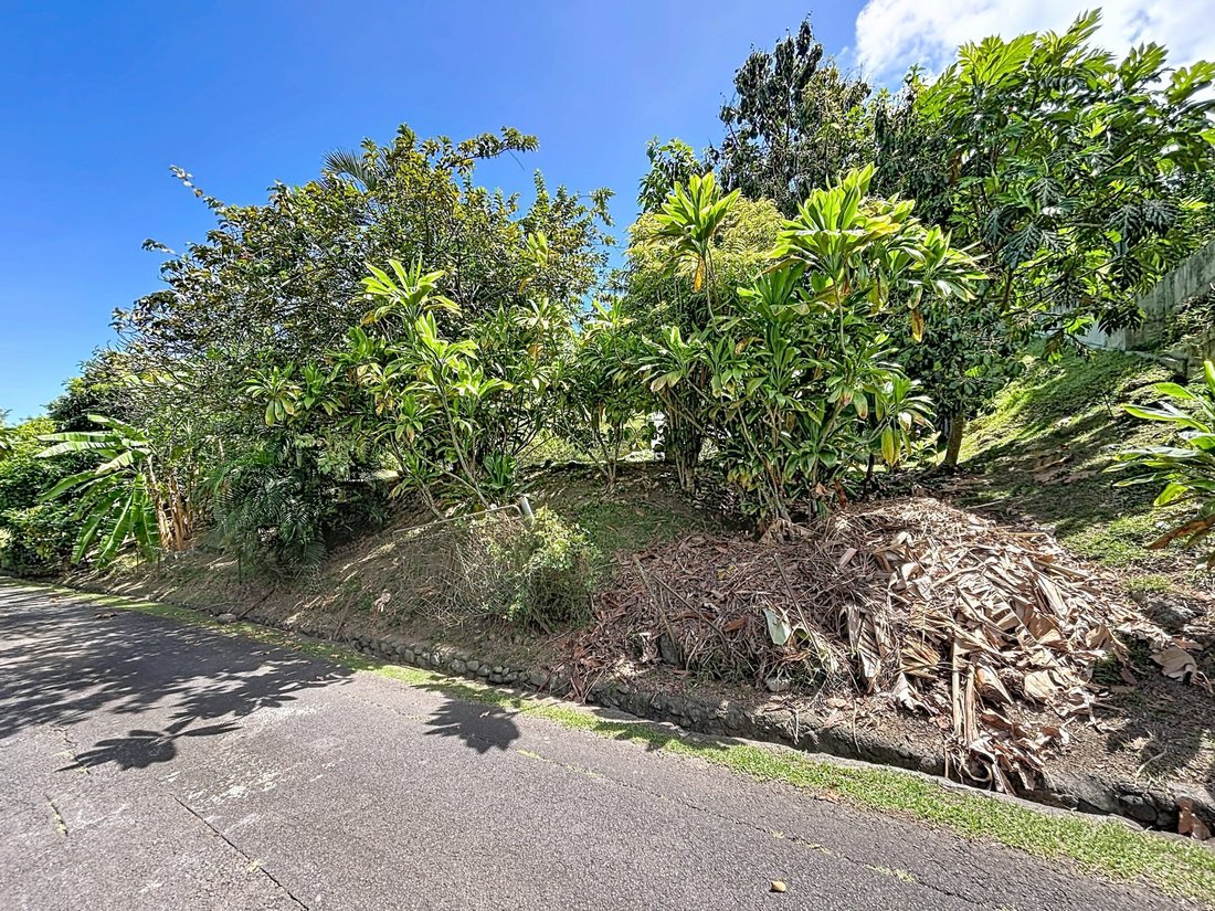 Land in Puna'auia, Windward Islands, French Polynesia 5 - 18973043