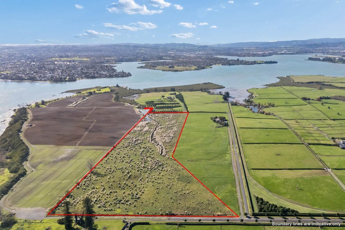 House in Auckland, Auckland, New Zealand 3 - 18267222
