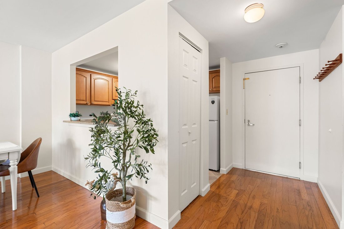 Condo in Arlington, Massachusetts, United States 3 - 18974437