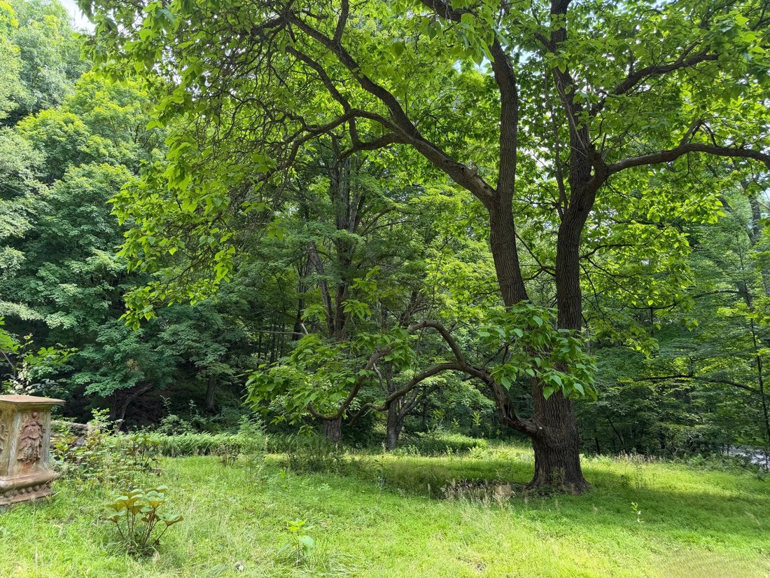 Washington, Connecticut, United States 2 - 18973382