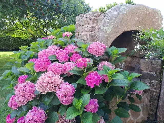 House in Zone Urbaine, Arradon, France 5 - 16461682