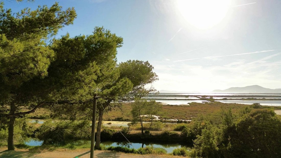 Land in Hyeres, Provence-Alpes-Côte d'Azur, France 1 - 16296578