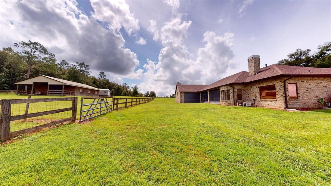 House in Dade City, Florida, United States 4 - 18969029