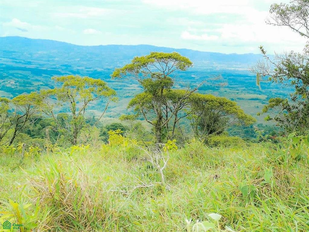 Land in Savegre de Aguirre, Puntarenas Province, Costa Rica 2 - 18969505