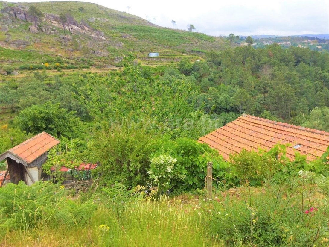 Land in Ferreiros de Tendais, Viseu District, Portugal 3 - 18959551
