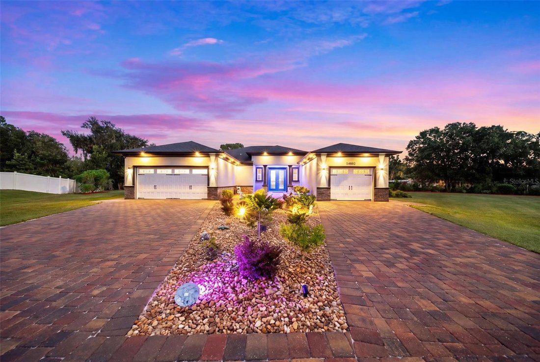 House in Wimauma, Florida, United States 5 - 18969024