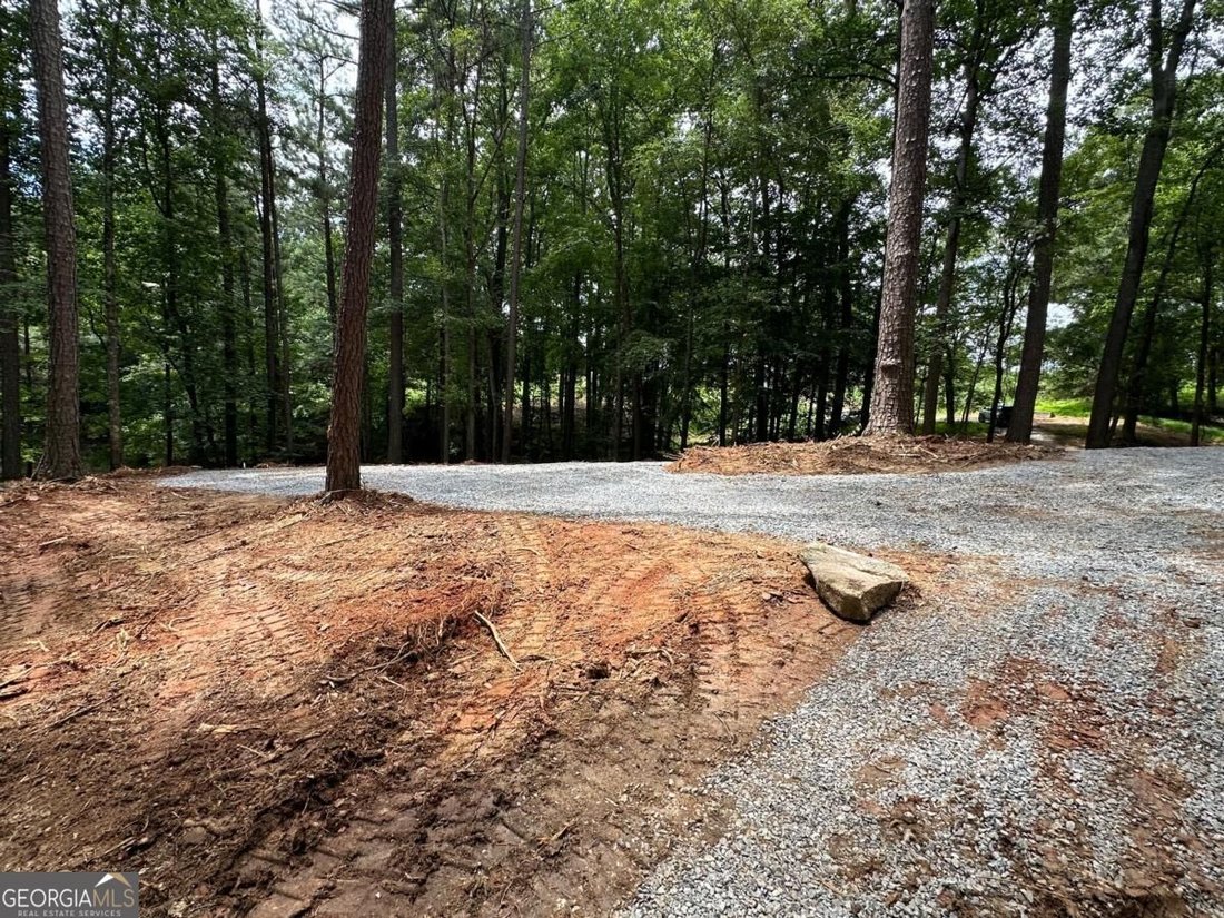 Land in Milton, Georgia, United States 3 - 18973886