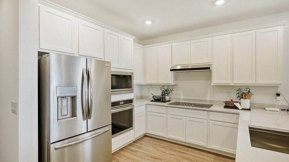 House in Apache Junction, Arizona, United States 5 - 18966543