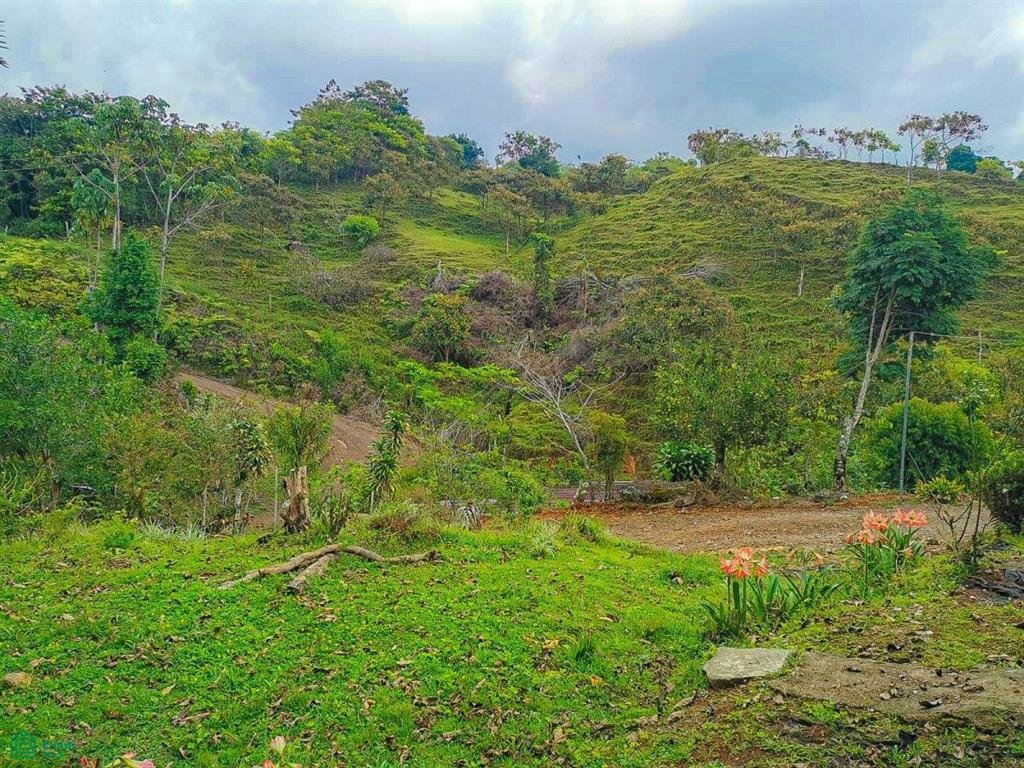 Land in Savegre de Aguirre, Puntarenas Province, Costa Rica 1 - 18969505
