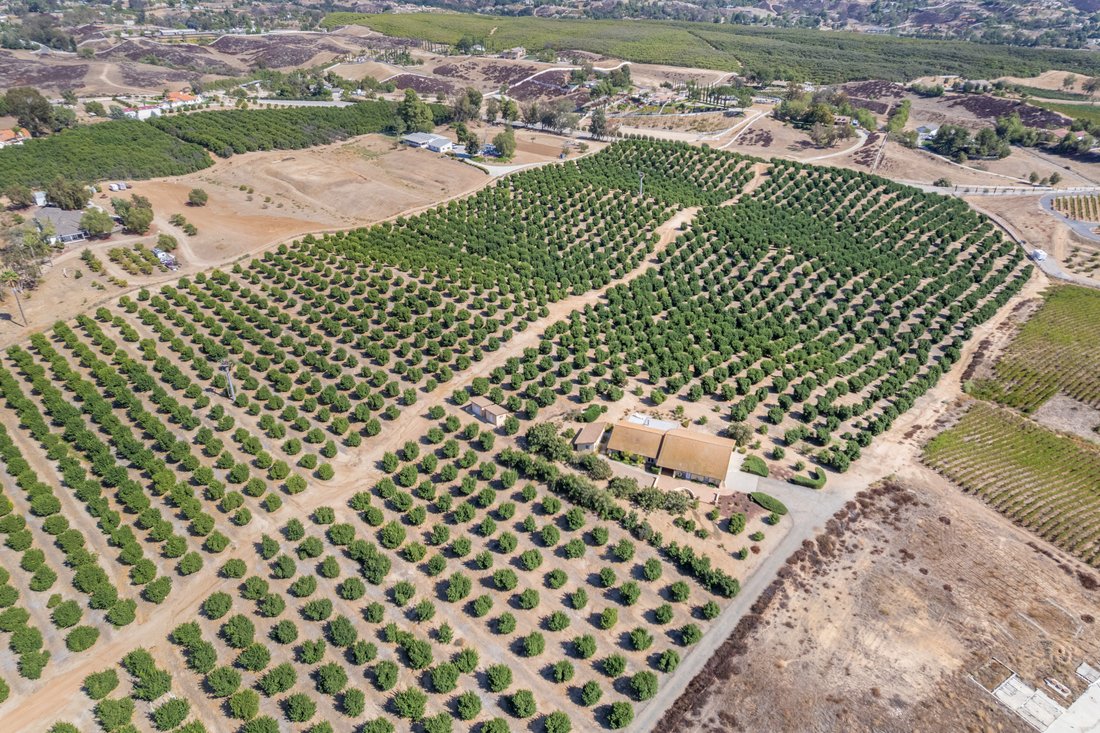 Temecula, California, United States 3 - 18973392