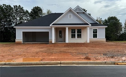 House in Buford, Georgia, United States 1