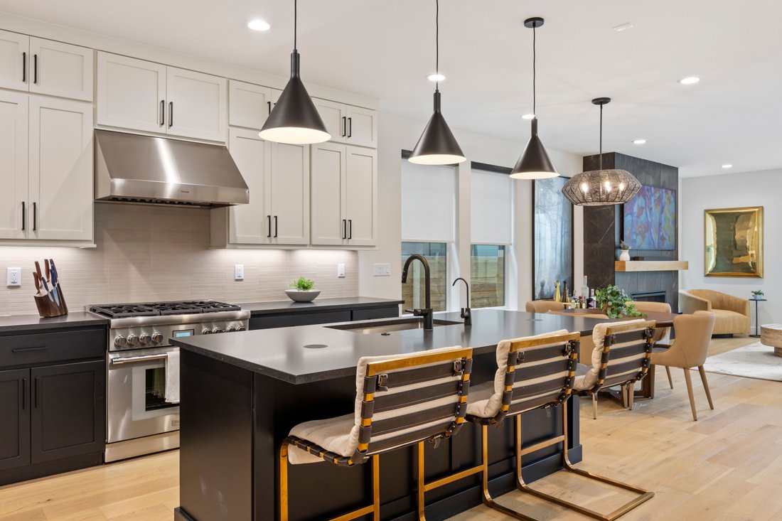 House in Denver, Colorado, United States 2 - 18966032