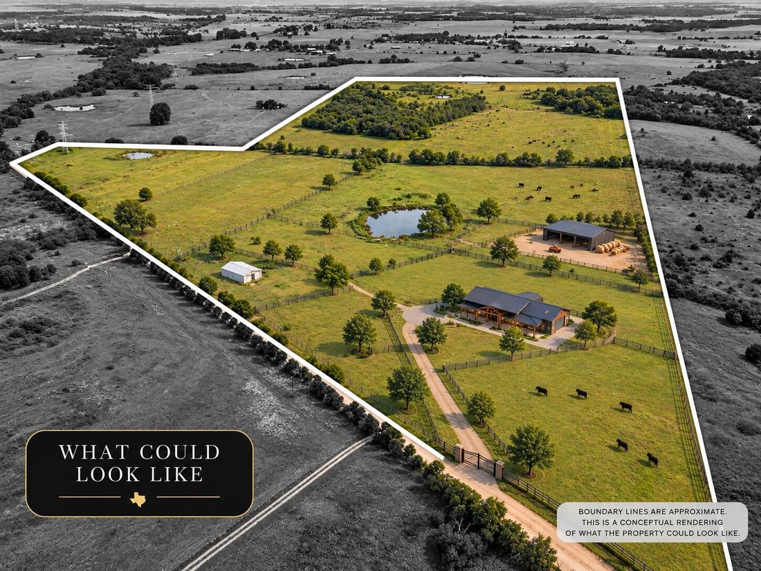 Land in Blooming Grove, Texas, United States 3 - 18969788
