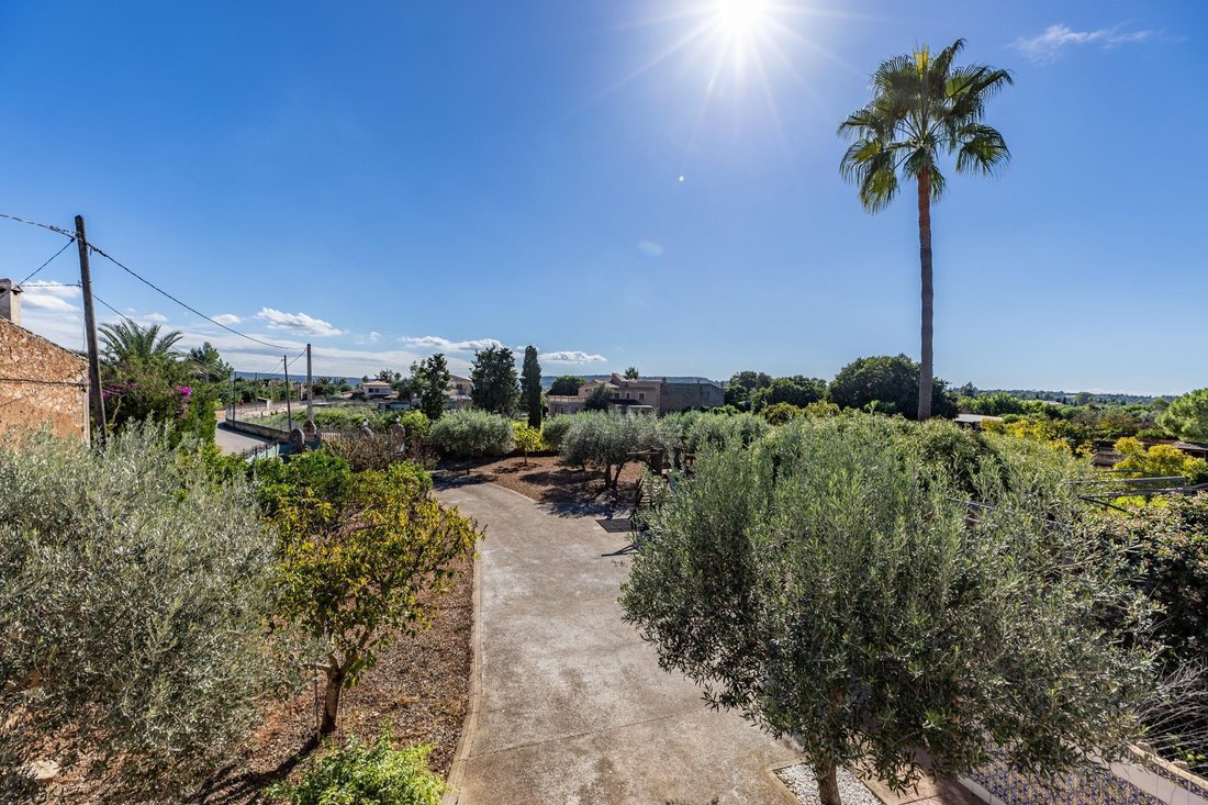 Villa in Santa Maria del Cami, Balearic Islands, Spain 5 - 18979105