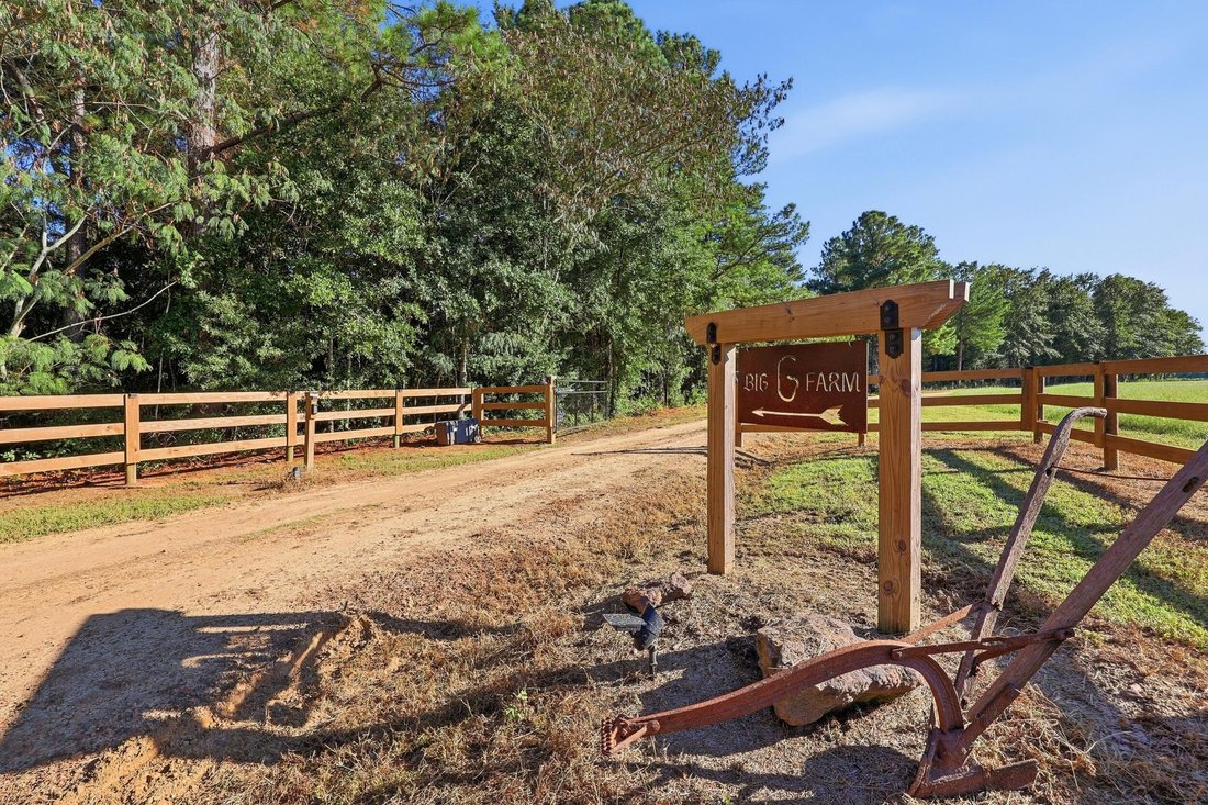 Farm Ranch in Aiken, South Carolina, United States 4 - 18980478
