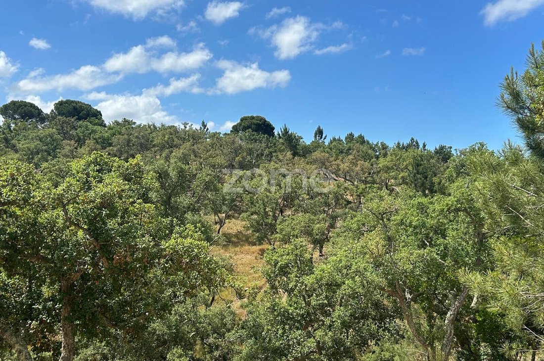 Land in Grandola e Santa Margarida da Serra, Setubal, Portugal 1 - 18971540