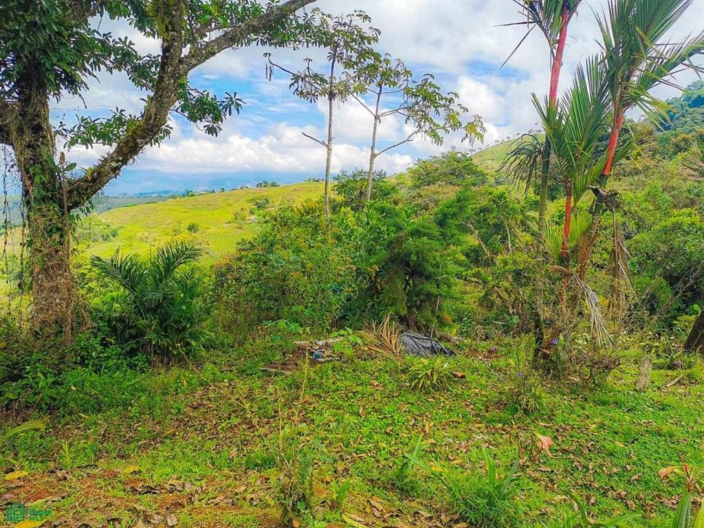 Land in Savegre de Aguirre, Puntarenas Province, Costa Rica 3 - 18969505