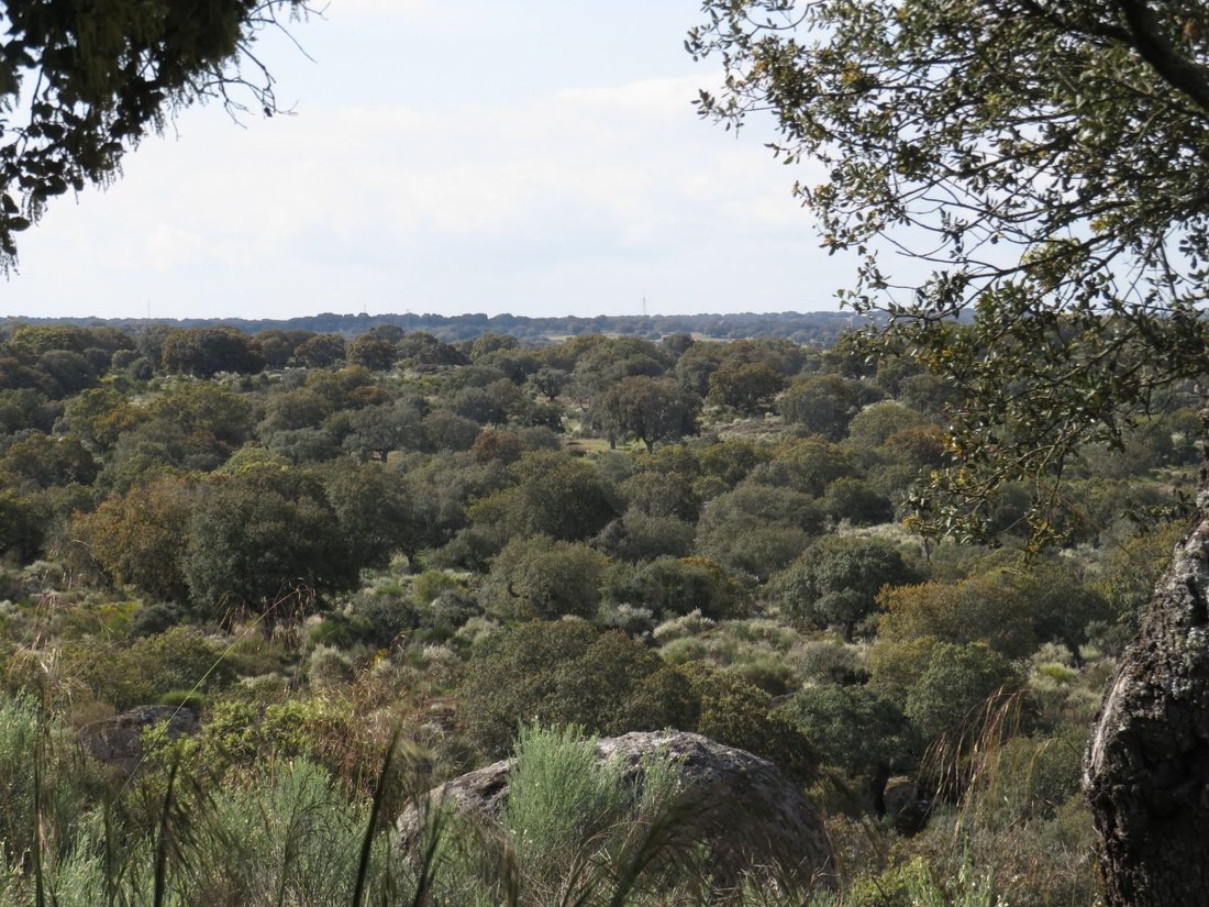 Land in Ledesma, Castile and Leon, Spain 5 - 16485267