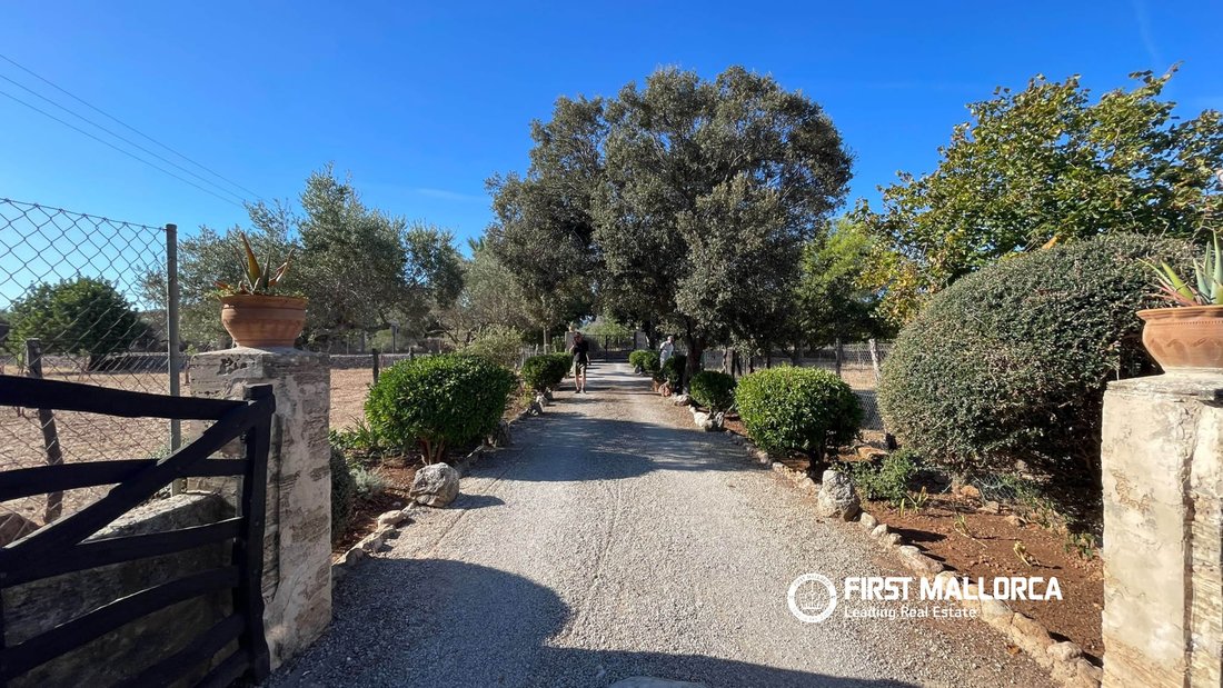 Finca in Pollenca, Balearic Islands, Spain 2 - 18965781