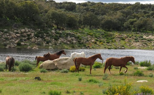 Land in Ledesma, Castile and Leon, Spain 1