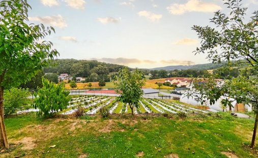 Villa in Minihof-Liebau, Burgenland, Österreich 1