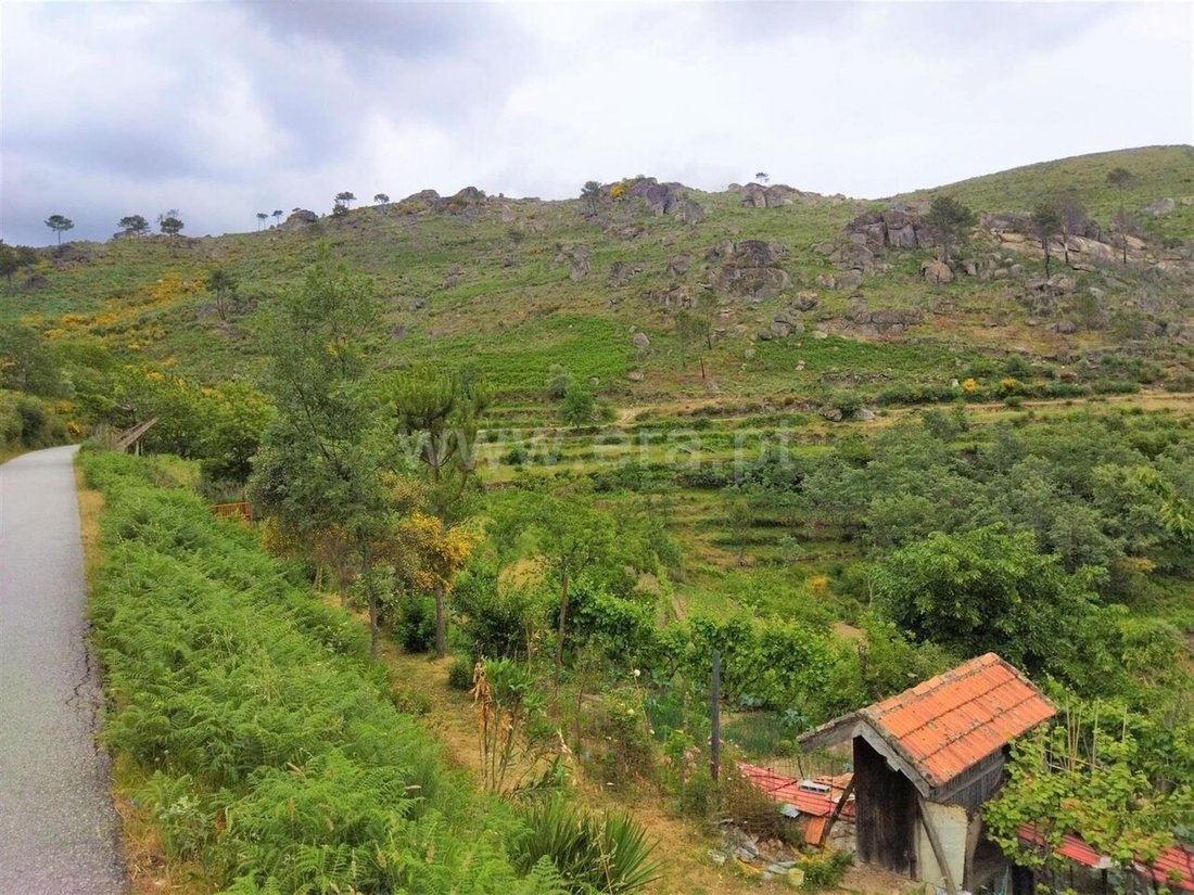 Land in Ferreiros de Tendais, Viseu District, Portugal 4 - 18959551