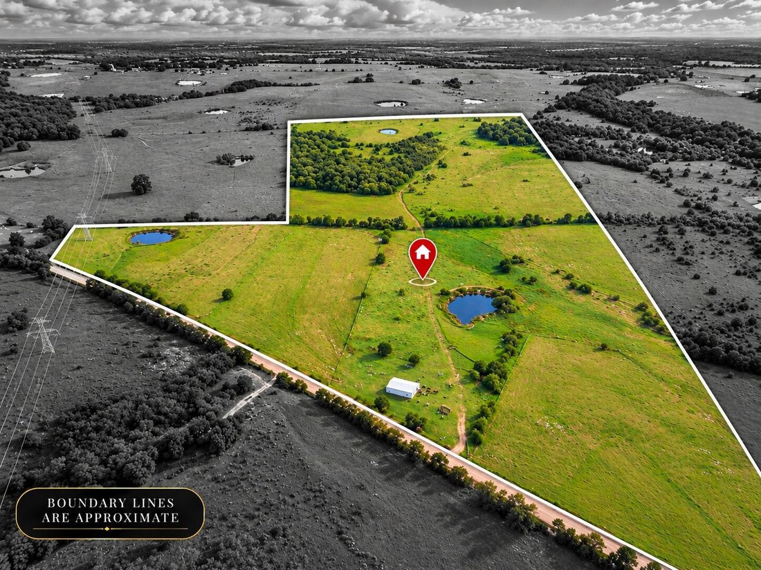Land in Blooming Grove, Texas, United States 1 - 18969788