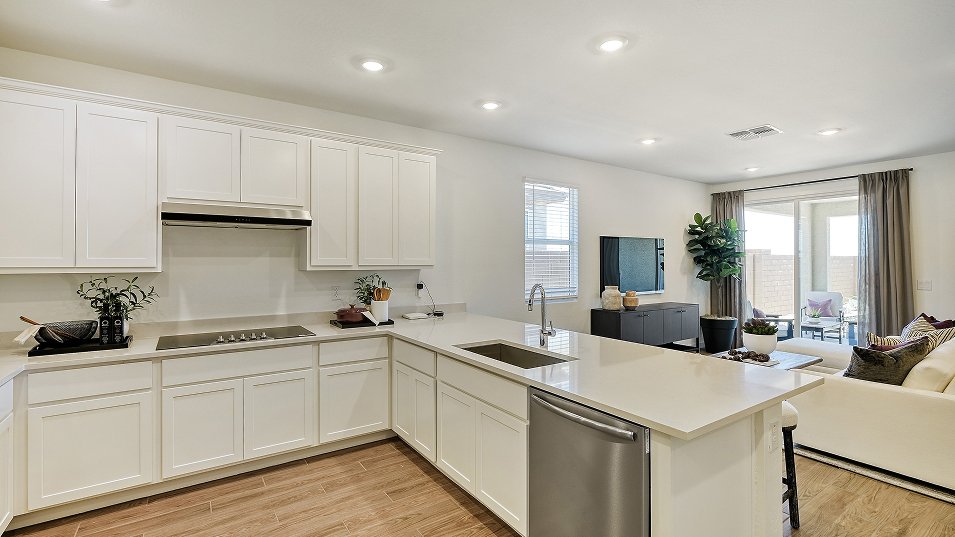 House in Apache Junction, Arizona, United States 3 - 18966543