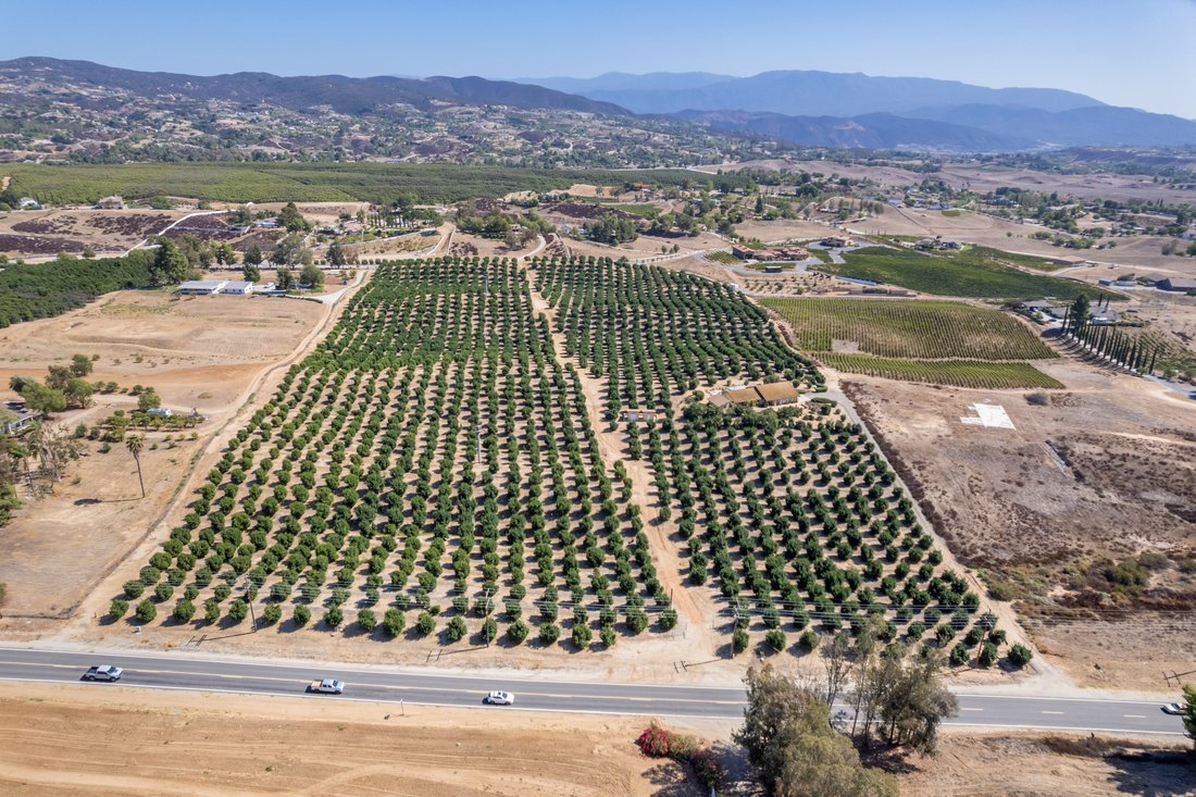 Temecula, California, United States 5 - 18973392