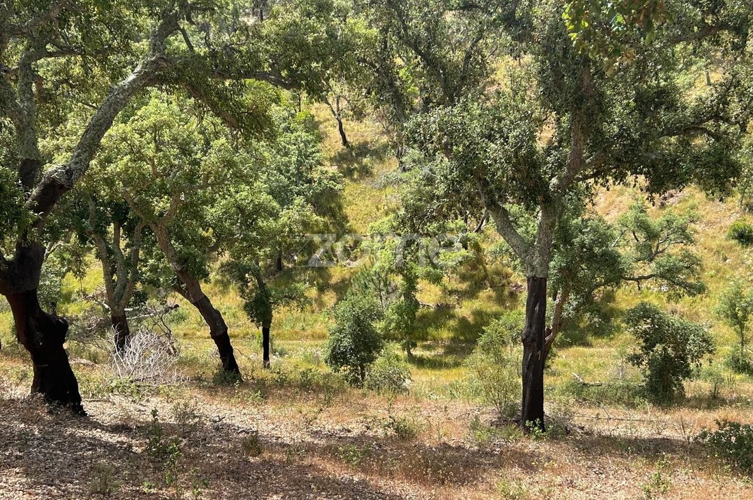 Land in Grandola e Santa Margarida da Serra, Setubal, Portugal 4 - 18971540