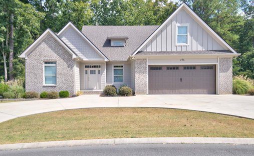 House in McDonald, Tennessee, United States 1