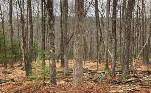 Land in Barryville, New York, United States 1